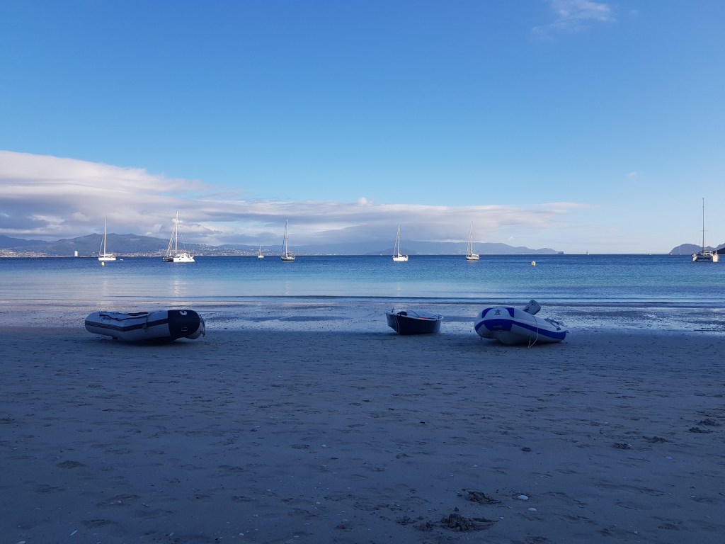 Orka’s op de&nbsp;koerslijn